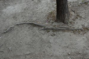 17b